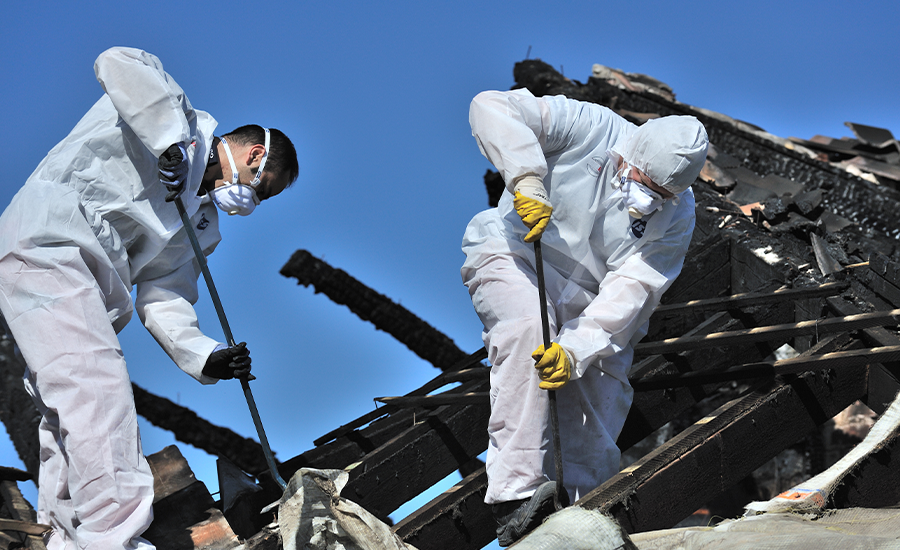 WorkPal Boosts Efficiency: React Services